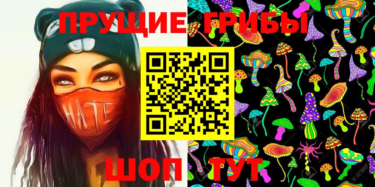 Холмск  Псилоцибиновые грибы GOLDEN TEACHER  Вход с VPN 